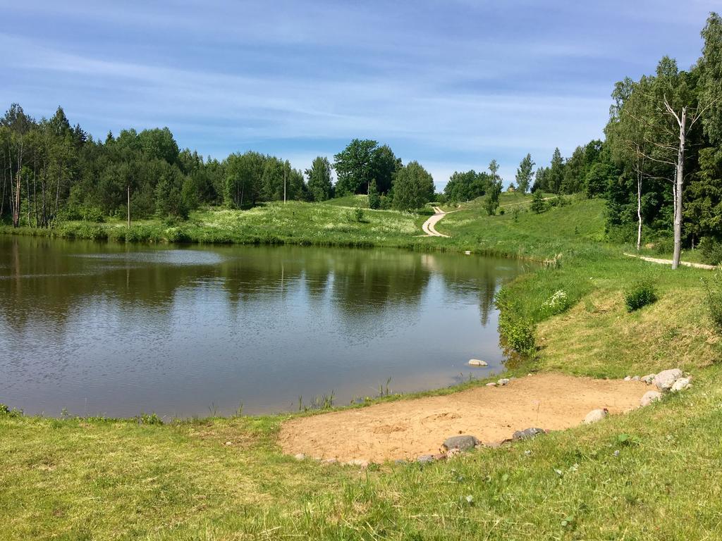 Namelis Salia Vynuogyno Villa Budziliai Bagian luar foto